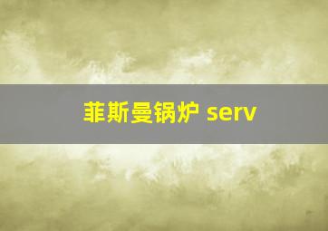 菲斯曼锅炉 serv